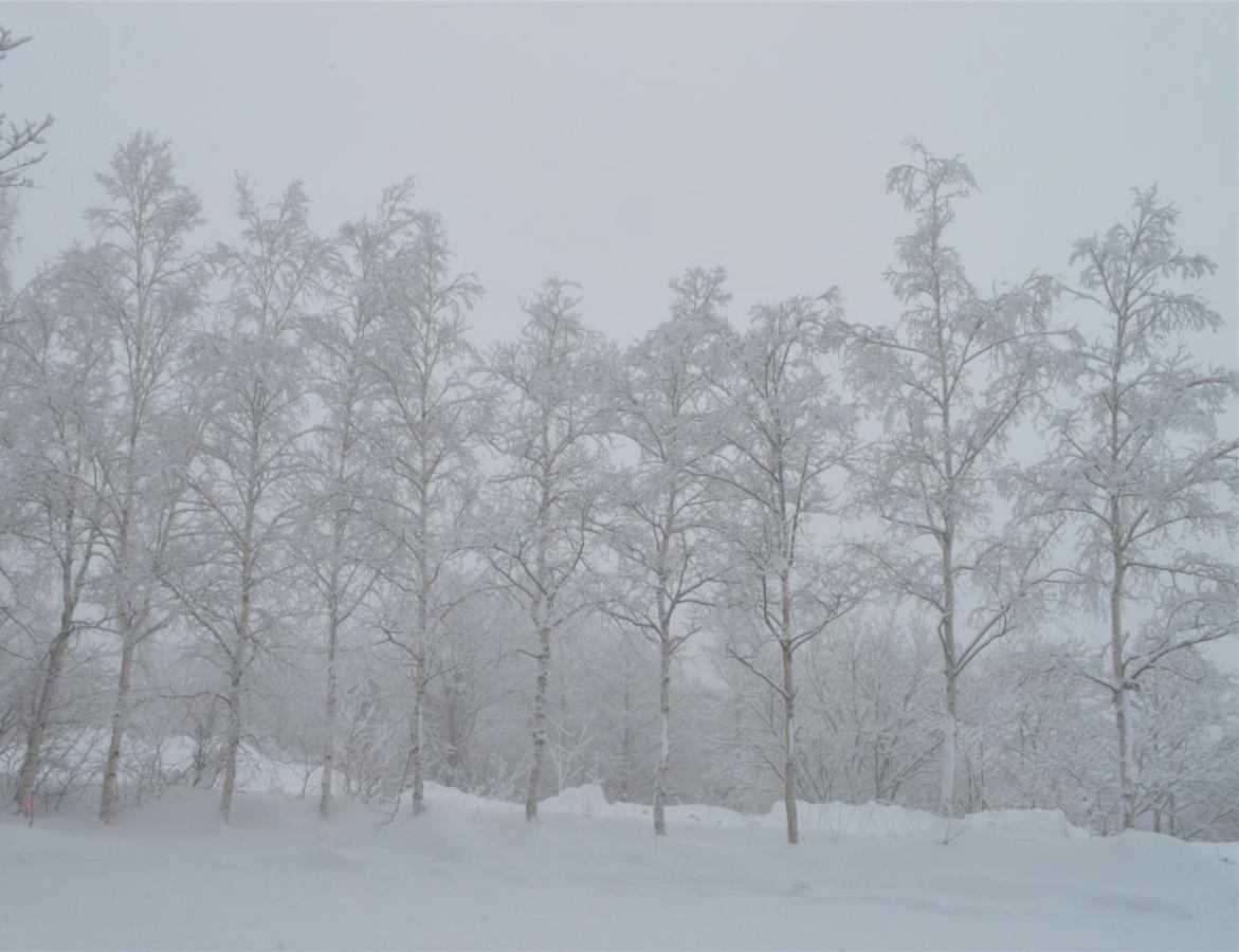 Haiji Shizukuishi ภายนอก รูปภาพ